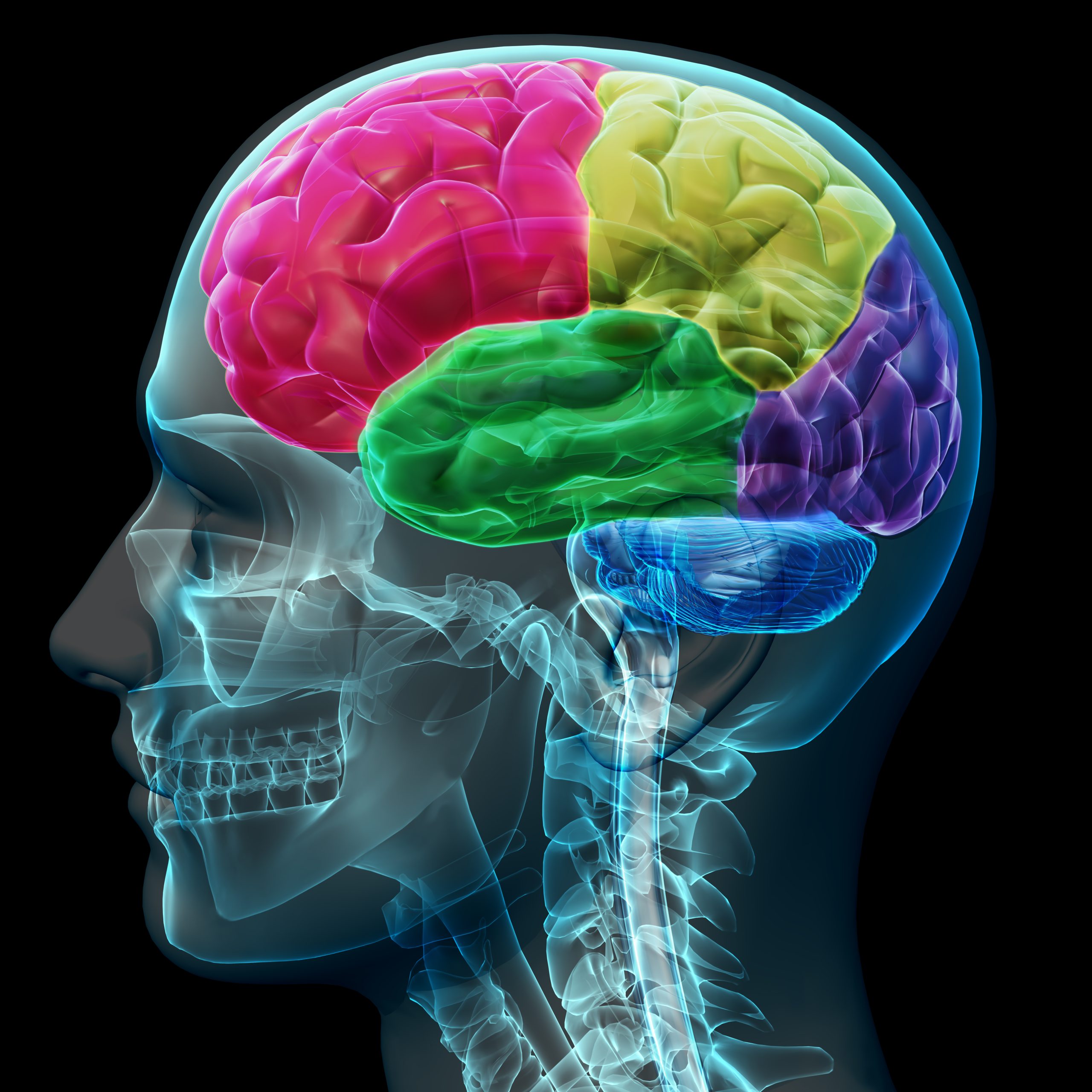 Proteja seu cérebro: Especialista jogo do liverpool
 revela os melhores hábitos para a saúde neurológica